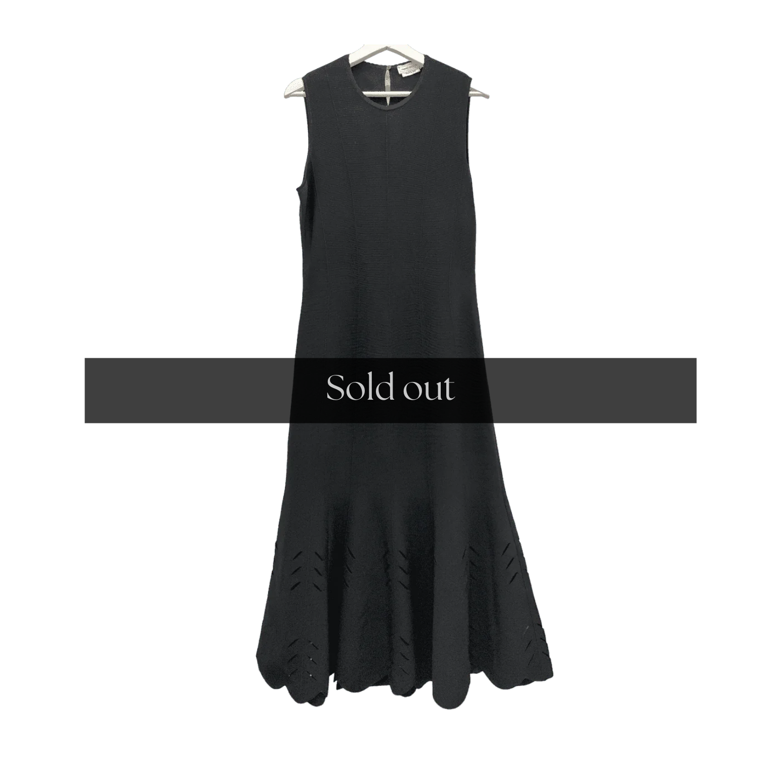 Alexander McQueen Long Sleeveless Dress