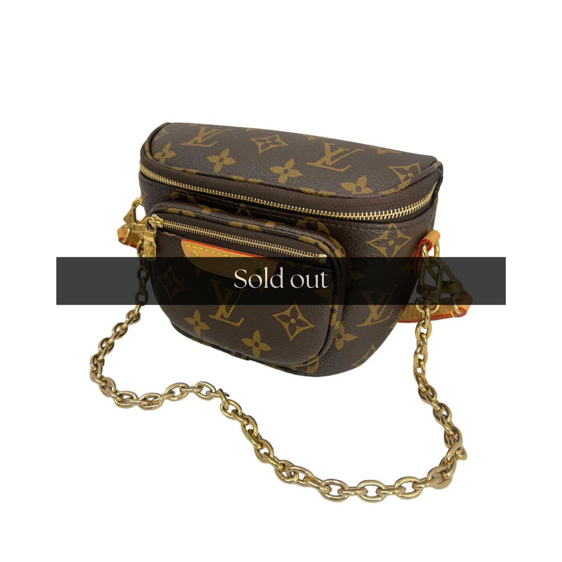 Louis Vuitton Mini Bum Bag