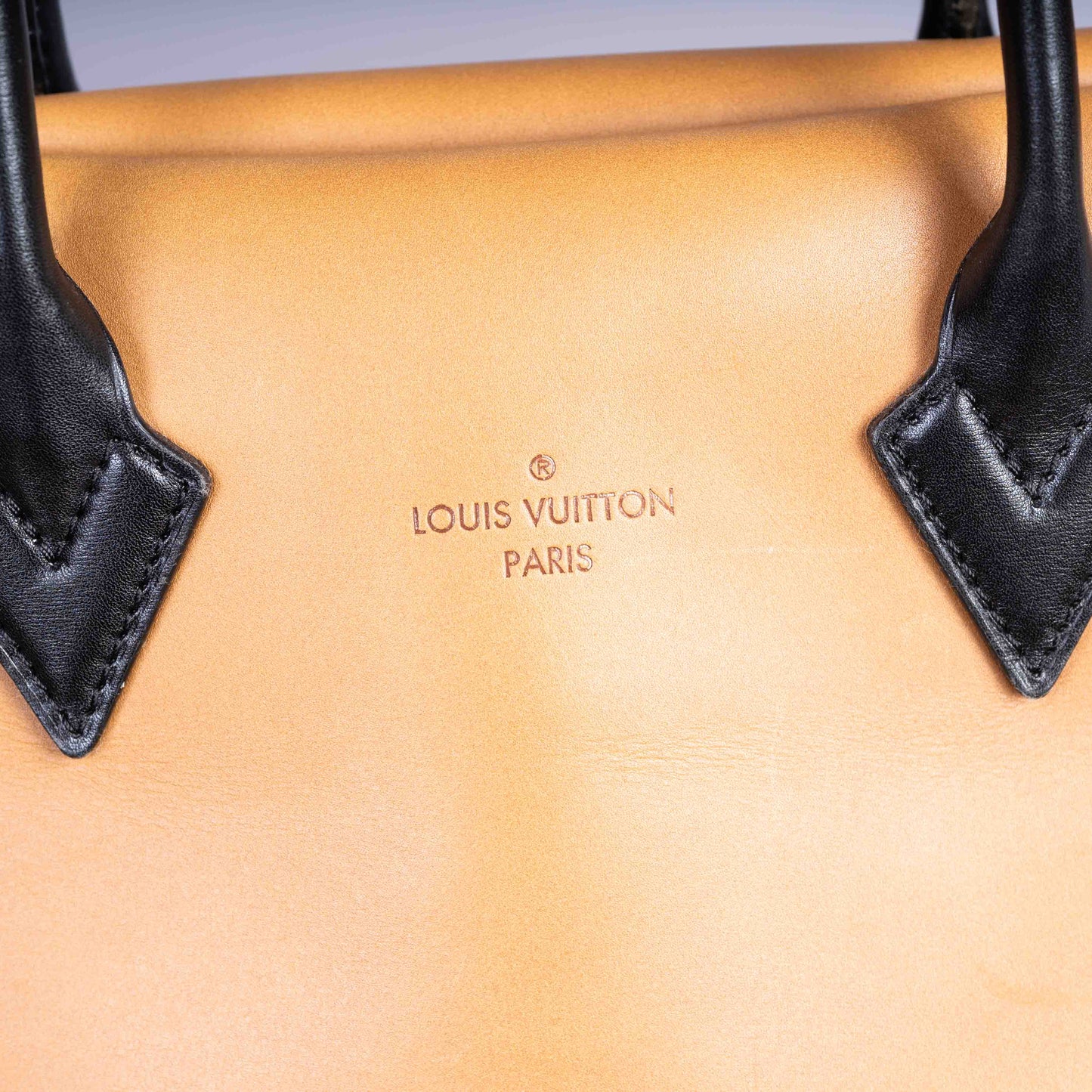Pre-Owned Louis Vuitton W Tote Bag