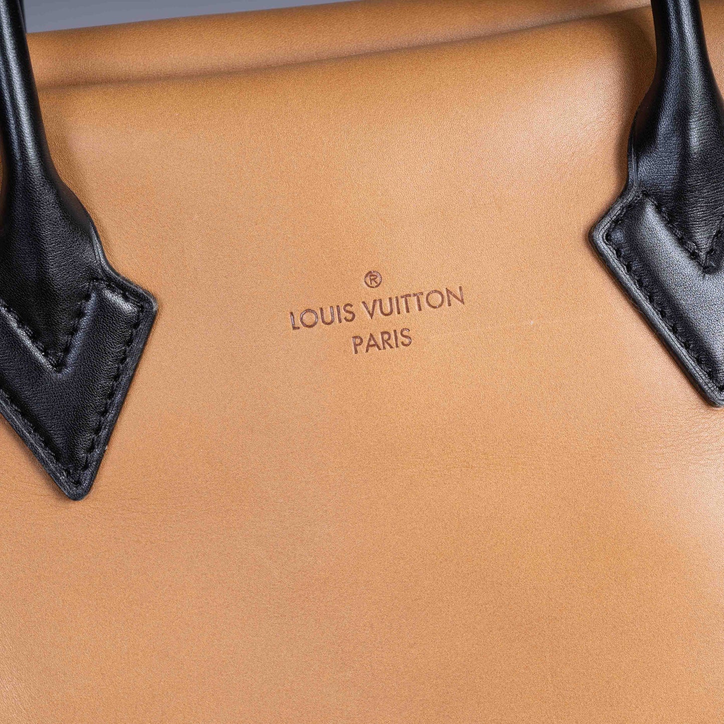 Pre-Owned Louis Vuitton W Tote Bag