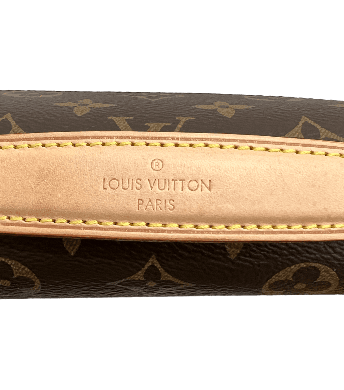 Louis Vuitton Monogram Canvas Pochette Metis