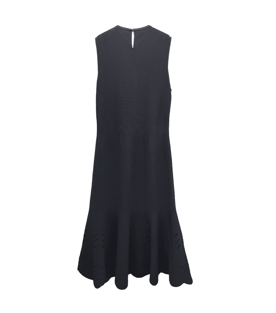 Alexander McQueen Long Sleeveless Dress