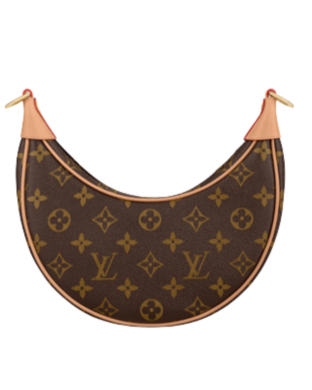 Louis Vuitton Loop Chain Bag