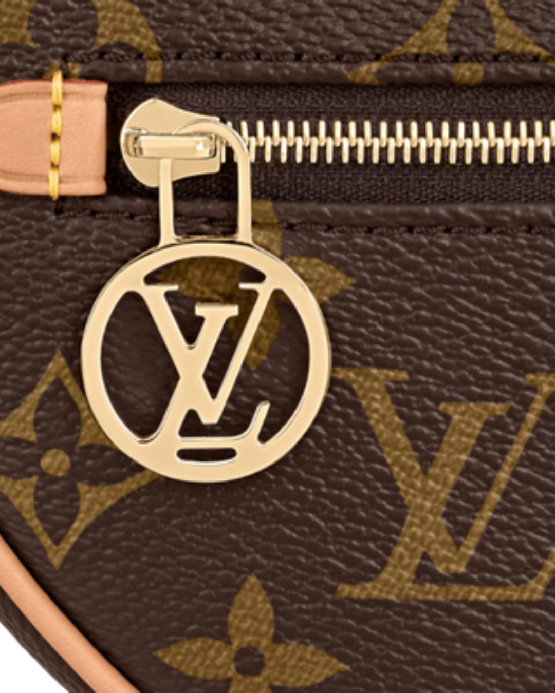 Louis Vuitton Loop Chain Bag